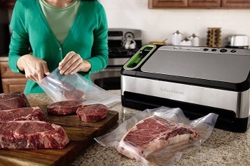 FoodSaver V4840 2-in-1 Vacuum Sealer review (1)