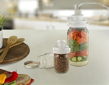 FoodSaver Vacuum Sealer Kit