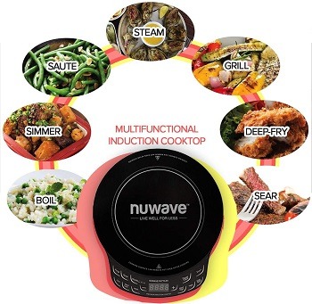 NuWave Precision Tiny Hot Plate Review