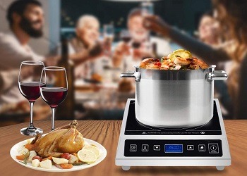 Warmfod Commercial Hot Plate Review