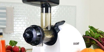 BioChef Masticating Juicer Review