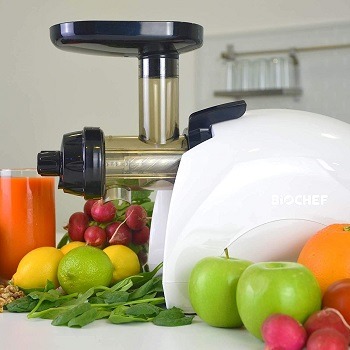 BioChef Masticating Juicer