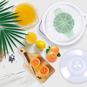 Luukmonde Citrus Juicer