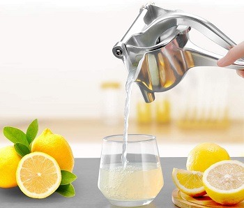 Manual Citrus Press Review