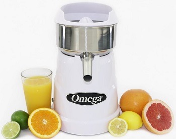 Omega Professional Juicer