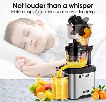 Vitaextra Slow Juicer