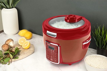 Aroma Professional Red Cooker