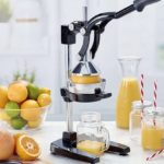 Commercial Fruit Juicer