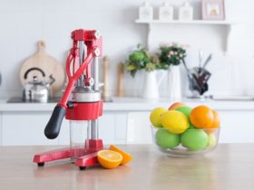 Commercial Manual Juicer