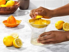 Hand Lemon Juicer