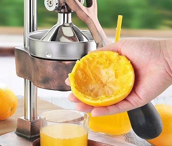 New Star Citrus Juicer Review