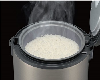 Tiger Rice Cooker Stainless Steel Review
