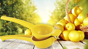 Zulay Premium Lemon Squeezer Review