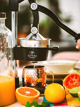 Zulay Professional Juicer