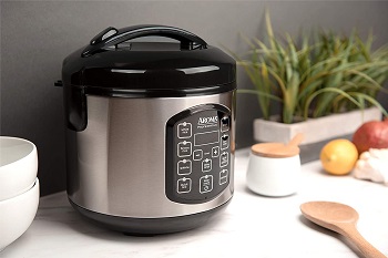 Aroma Rice Cooker 4 Cup Review