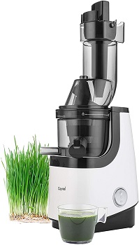 Caynel Cold Press Juicer Review