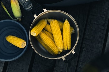 corn in the pot