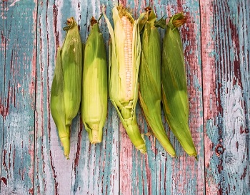 how do you freeze fresh corn