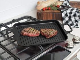 Best Electric Stovetop Grills