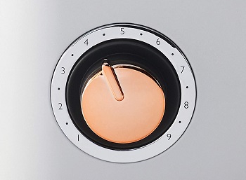 Oster 2097682 Rose Gold Toaster Review