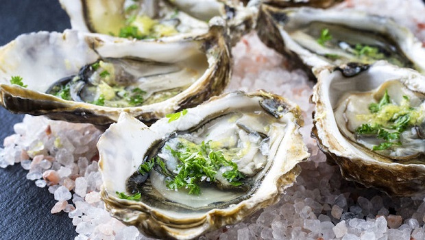 Oysters