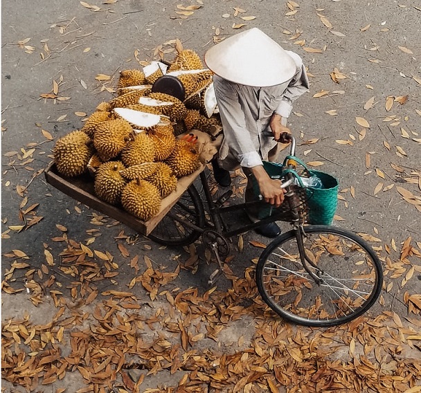 durian fruit