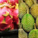 frozen durian and pitaya
