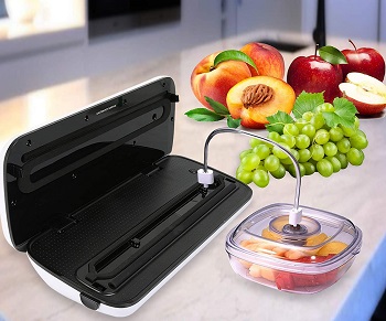 Best Home Vacuum Food Sealer