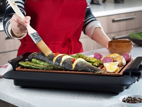 Best Portable Electric Grill