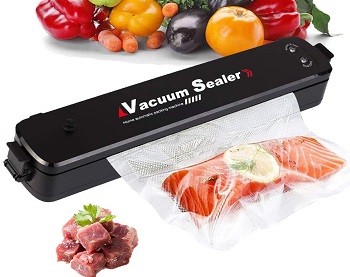 Best Portable Vacuum Sealer