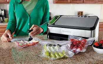 Best Wet Food Vacuum Food Sealer