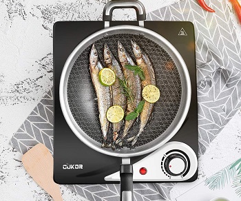 Best Camping Portable Electric Cooktop