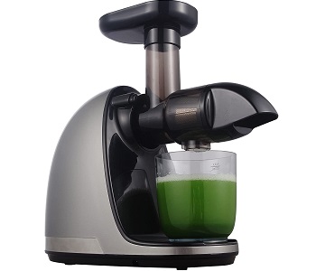Best Commercial Wheatgrass Juicer