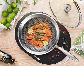 Best Glass Portable Electric Cooktop