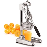 Best Lemon Orange Juicer Rundown