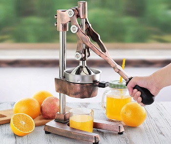 Best Antique Citrus Press