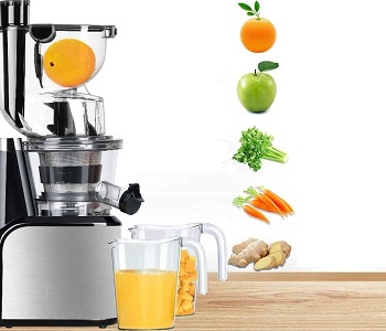 Best Cold Press Easy To Clean Juicer