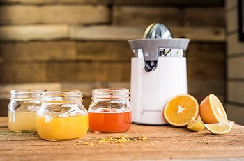 Best Lemon Electric Citrus Juicer