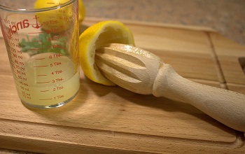 Best Lemon Mini Juicer