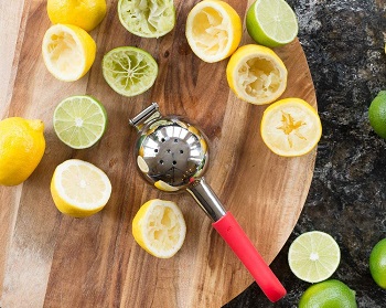 Best Stainless Steel Citrus Press