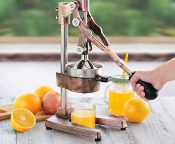 Best Vintage Citrus Juicer
