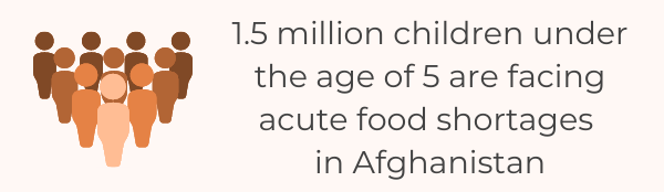 The List Of 54 Shocking Hunger Statistics & Facts - Afganistan