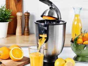best citrus juicers machines