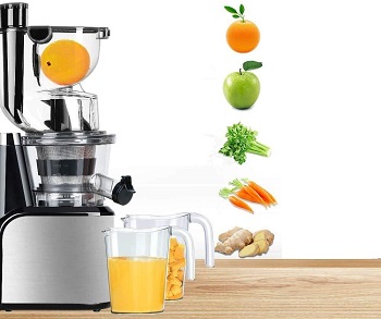 Best Beginners Commercial Cold Press Juicer