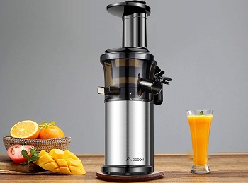 Best Compact Masticating Juicer