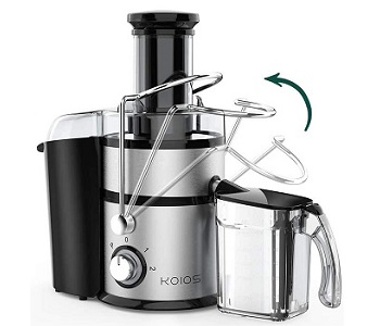 Best For The Money Centrifugal Juicer