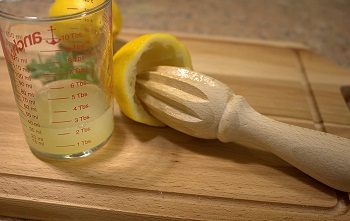 Best Lemon Juicer Machine