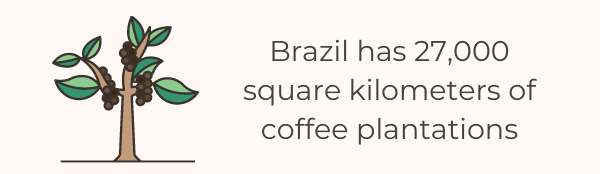 The Ultimate List Of 136 Fascinating Coffee Statistics For 2022 - Brazil Coffee Plantations
