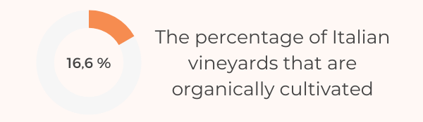 The Ultimate List Of 150 Must-Know Wine Statistics For 2022 - Italian Organic Wine