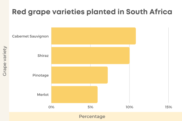 The Ultimate List Of 150 Must-Know Wine Statistics For 2022 - South African Red Grape Varieties